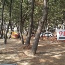 914 해변 캠핑장 이미지
