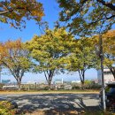 간송도로변 이미지