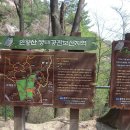 수림관광여행사