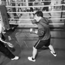 복싱코어 아카데미 이미지