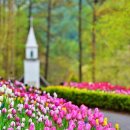 5월4일(화) 아침고요수목원 봄꽃축제..포토트레킹(카라반 진행) 이미지