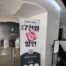 관음로 | 대구 아이와가볼만한곳 신전뮤지엄 | 내돈내산 후기