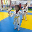 칭찬태권도장 이미지