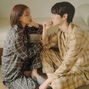 올드 트리 이미지