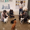 레터브리지