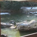 꿈의 비행 이미지