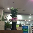 들마루칼국수 이미지