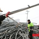 월호농장 이미지