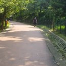 양진당 화장실 이미지