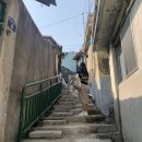 서산초등학교 | 목포-신안 여행 - 1일차(2) / 서산동시화골목 / 연희네슈퍼 / #1987카페눈의꽃 / 뚜벅이 여행 코스