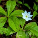 세방종합공사