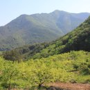 오봉리 - 우 이미지