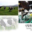 신암목장 이미지