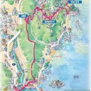 블루코스 이미지