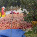 보현농장 이미지