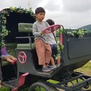 표선도서관 이미지