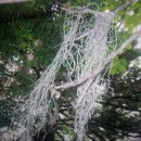 대한건재 이미지