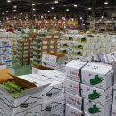 댕댕이맘마 이미지