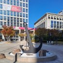 부산광역시청 이미지