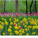 서울숲4 이미지