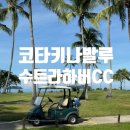 헤리티지골프클럽 | [코타키나발루 골프여행] 수트라하버CC 예약방법 / 18홀 비용 및 후기