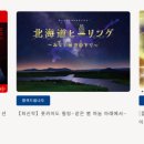 미놀라 네이버블로그