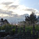 나미송머무는곳 민박 이미지