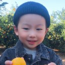 정성농장2 이미지