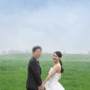 초원광고 | 로코코스냅 1번 흰색 드레스 초원 배경 후기 리뷰