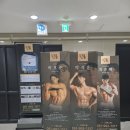 솔레노어 PT STUDIO 이미지