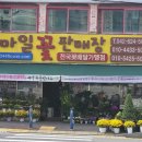 스마일꽃판매장