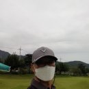 벌교파3