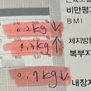 센트럴 | 송도다이어트추천ㅣ누워서 다이어트와 체질관리가 가능한 셀포랩센트럴 후기