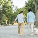 가을 산책, 몇 보보다 몇 분?…건강 효과 높이는 산책법 이미지