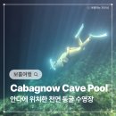 보홀 안다 카박나우 동굴(Cabagnow Cave Pool) 입장료 / 수영가능 요일 정보