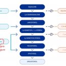 동광약업 이미지