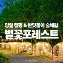 공지숲매점 | [공지] [2차앵콜공구중]서울근교 숲캉스 아이랑 용인...감성 봄 여름 캠핑 반딧불이 숲체험 별꽃포레스트