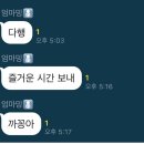 거북이카센터 이미지