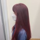 나르시스 헤어살롱
