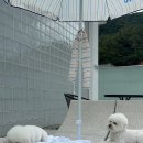경주시 동물사랑보호센터 동물병원 이미지