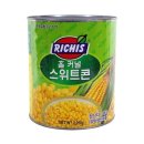 리치스 이미지