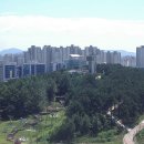 수완영무예다음1 이미지