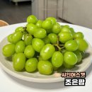 샤인머스켓 추석선물 인터넷주문 후기 조은팜