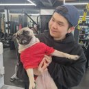 레시핏 낙성대점 | 2년을 다녔는데, 아직도 새롭다?계속 진화하는 헬스장, 낙성대 레시핏 리얼 후기