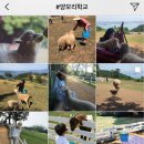인 남해 티스토리