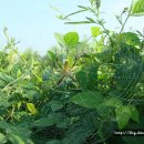 인영농장 이미지