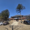 223 | [남양주 가볼만한곳 묘적사 ] 석굴암 있는곳 / 힐링 가득한 귀여운 사찰고양이들♡