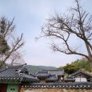 돌산 행정사사무소 이미지