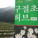 대간물농장 이미지