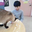 화정목장 이미지